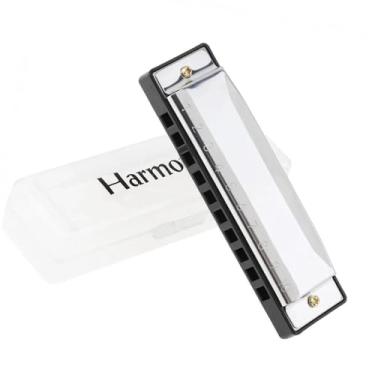 Imagem de Gaita Profissional 10 Furos Tom C Instrumento Musical Profissional Blues Harmonica