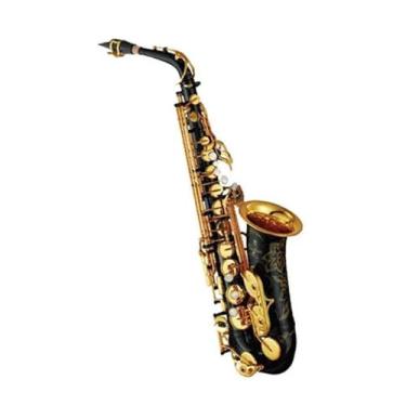Imagem de Saxofone Saxofone Profissional Alto E-Flat Saxofone Alto Dourado Para Iniciantes Com Bolsa Acessórios Instrumento (Preto)