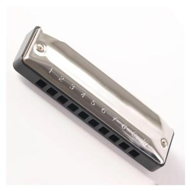 Imagem de Gaita profissional de 10 furos requintado Blues Harmonica diatônica harpa fácil de tocar instrumento (cor: C)