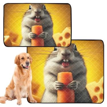 Imagem de TSENQUE Cute Squirrel Cenoura Queijo Lavável Pet Pee Pads Reutilizáveis Pet Cats Tapete Impermeável Gaiola de Cachorro Bonito Absorvente, Médio + Grande, Conjunto de 2