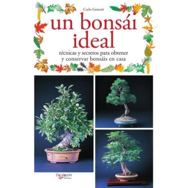 Imagem de Un bonsái ideal - Espanhol