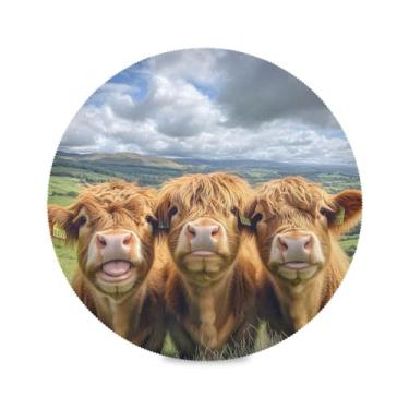 Imagem de STAYTOP Jogo americano redondo de três vacas Highland fofas, 6 peças, tapetes de mesa antiderrapantes fáceis de limpar para casa, cozinha, churrasco, festa, decoração de mesa