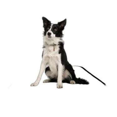 Imagem de Tapete Pet Lavável Adestramento Em Oferta 2 Un P1 50X70Cm - Shelby Mod