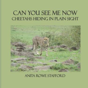 Imagem de Can You See Me Now: Cheetahs Hiding in Plain Sight