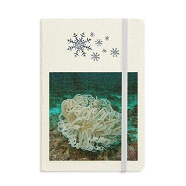 Imagem de Caderno de água-viva verde oceano ciência natureza grosso flocos de neve inverno