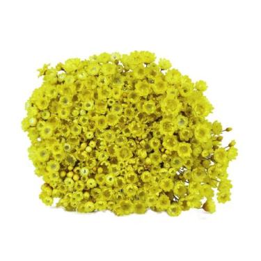 Imagem de 600 Sempre Viva Florzinha Amarelo I Flores Desidratadas - Mundo Das Se