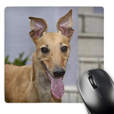 Imagem de 3dRose Portrait of A Greyhound Dog, Us05 Zmu0259, Mouse pad Zandria Muench Beraldo (mp_142929_1)