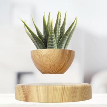 Imagem de FLYSWITCH Vaso De Plantas Levitante, Flutuante Pequeno Para Bonsai Suculentas, Decoração Levitante Escritório Em Casa (Marrom Médio)