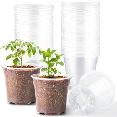 Imagem de RooTrimmer Pacote com 60 vasos de berçário transparentes de 15 cm para plantas, vasos de plástico flexível com orifícios de drenagem, vasos de iniciante de plantas transparentes para mudas, vegetais