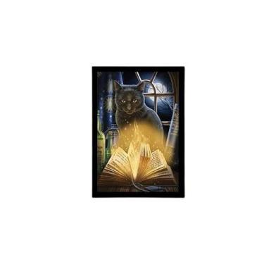 Imagem de Quadro Gato Bruxo Livro 33X24Cm - Vidro Moldura Preta - Quadros On-Lin