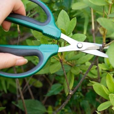 Imagem de 1 tesoura de bonsai premium – tesoura de corte profissional com lâminas afiadas de aço inoxidável (verde escuro)