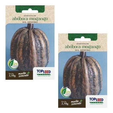 Imagem de 2x Sementes De Abóbora Mogango Sul Mineiro Para Muda E Horta - Topseed