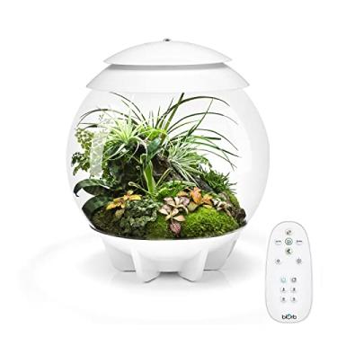 Imagem de biOrb Air 30 Terrarium Branco
