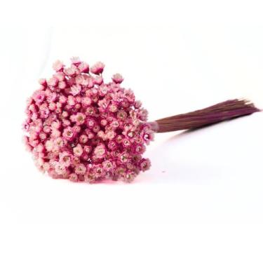 Imagem de 1200 Sempre Viva Florzinha Cor de Rosa I Flores Desidratadas - Pense F