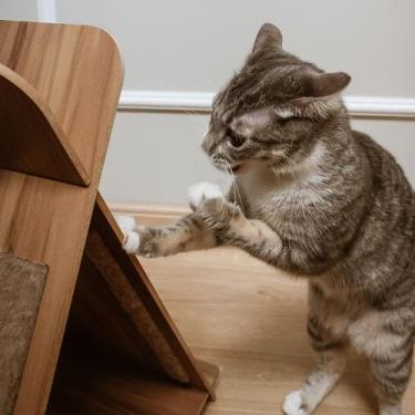 Imagem de Arranhador para Gatos com Design de Cabana - Miaular Linear Criações, 