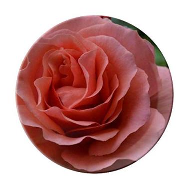 Imagem de Prato decorativo de folhas verdes rosas de porcelana salver louça de jantar
