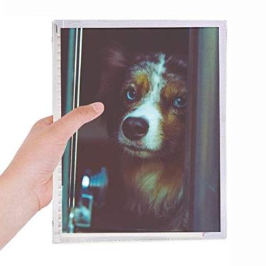 Imagem de Caderno de fotos para animais de estimação com folhas soltas e diários recarregáveis