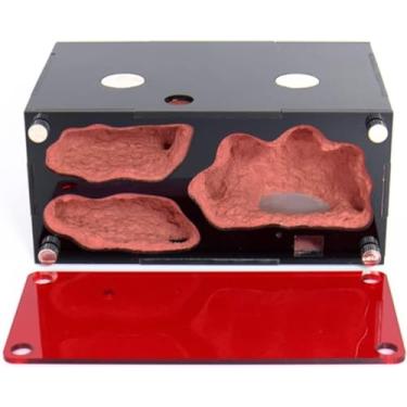 Imagem de Expansão infinita Formiga Fazenda Concreto Ninho de Formiga Acrílico Casa de Insetos Colônia Bebedor Formigueiro Kit Formigas Oficina Ecológica Caixa de Exibição Acessórios, Nest area-A1 421