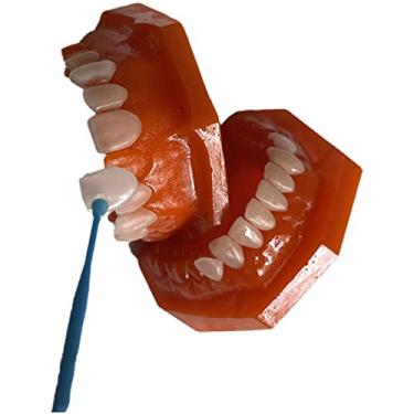 Imagem de KH66ZKY Modelo de dentes padrão de chapeado todo em cerâmica para clareamento dental, exibição de educação escolar ou educação de pacientes