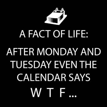 Imagem de Paperproducts Design 7767 After Monday and Tuesday até mesmo o calendário diz W.T.F guardanapo de coquetel, preto