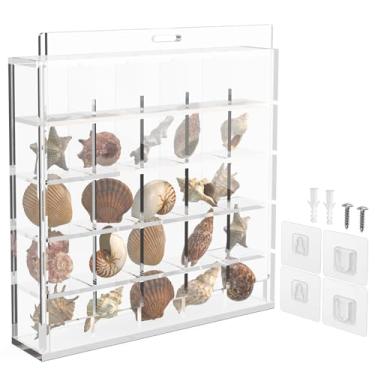 Imagem de Homakover Caixa de Exposição de Conchas Acrílicas, 25 Grades, Caixa de Armazenamento de Coleção de Mini Conchas Acrílicas Transparentes, Grades Ajustáveis, Vitrines de Conchas, Org (, Transparente)