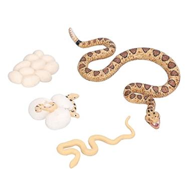 Imagem de Compra Maluca Modelo de ciclo de crescimento, ferramenta de ensino de modelo de crescimento de cascavel de plástico simulado para casa para a escola