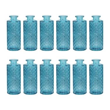 Imagem de Ioensy 12 peças de vasos de vidro decorativos, presente romântico, recipientes para plantas, arranjos de flores para exibição em ambientes internos e, Céu Azul