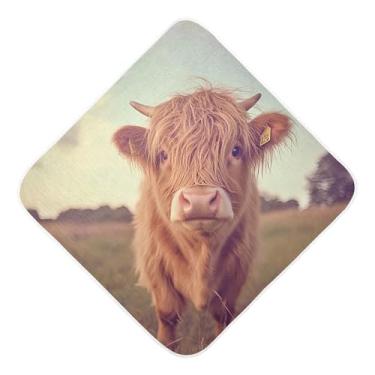 Imagem de STAYTOP Toalhas de bebê fofas de vaca Highland com cabelo comprido musselina com capuz, toalha de banho super macia, toalhas de banho absorventes para banho de recém-nascido unissex 89 x 89 cm