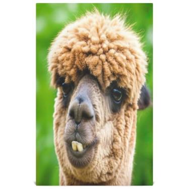 Imagem de Joisal Funny Alpaca Cool Art Farmhouse Conjunto de toalha de prato de cozinha decorativo toalha de chá panos de prato fofos absorventes macios 45 x 71 cm, 1 pacote