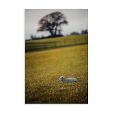 Imagem de Stupell Industries Lamb in Lush Farmland Canvas Wall Art Design por Thomas Tepstad Berge, 20 x 30
