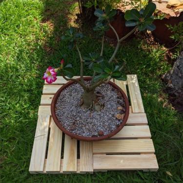 Imagem de Kit 4 Decks Decoração, Apoio, Charme 30x30 - Divina Madeira