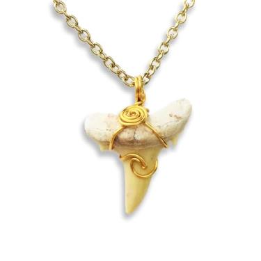 Imagem de Colar de dente de tubarão natural para meninos, joias fósseis genuínas de dentes de tubarão para homens, colares de praia legais para meninas adolescentes, colar de surfista de praia para mulheres