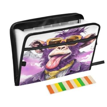 Imagem de Wassud Organizador de arquivos sanfonado Funny Monkey com 13 bolsos, pastas expansíveis com abas e adesivos, organizador de pastas de documentos de recibo de papel tamanho carta A4 para viagens de