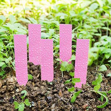 Imagem de 100 Etiquetas Plásticas do Jardim do Berçário do Marcador das Etiquetas da Semente da Planta Dos Pces para a Identificação da Planta (Rosa)