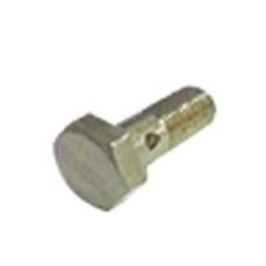 Imagem de CAIXA 10 PARAFUSO BANJO VAZADO 10X1X23.5 COM 2 FUROS PARA SCANIA