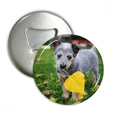 Imagem de Lindo filhote de cachorro para fotografia de animal de estimação, abridor de garrafa, emblema multifuncional