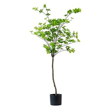 Imagem de SLGGPJBU Plantas falsas planta artificial planta artificial árvore interior simulação planta falsa planta verde planta vaso planta quarto loja escritório decoração moda plantas artificiais interior