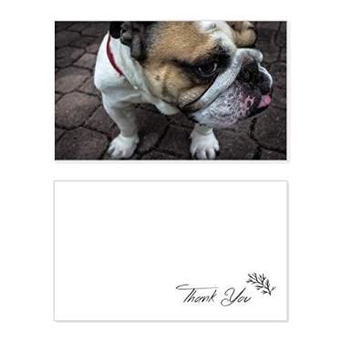 Imagem de Imagens de fotografias de animais Bulldog para animais de estimação, cartão de agradecimento, papel de aniversário, agradecimento de casamento