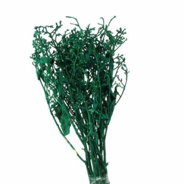 Imagem de Dedo De Anjo Verde Flor Desidratada Buque Flores Secas - Pense Flores
