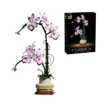 Imagem de Orquídea Cymbidium Phalaenopsis Flores Eternas Planta Em Vaso Blocos D
