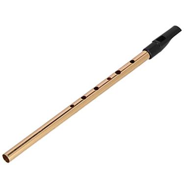 Imagem de Cryfokt Apito Irlandês de Metal D Key na Cor Dourada, Flauta de Madeira de 6 Furos, Instrumento de Brinquedo Musical Portátil para Crianças e Adultos, Bocal de Resina, Perfeito para Desempenho