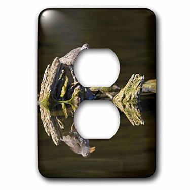 Imagem de 3dRose Lsp_70376_6 British Columbia, Picador de areia manchado, Deadwood-Cn02 Ldi0067 Larry Ditto Tampa de 2 plugues