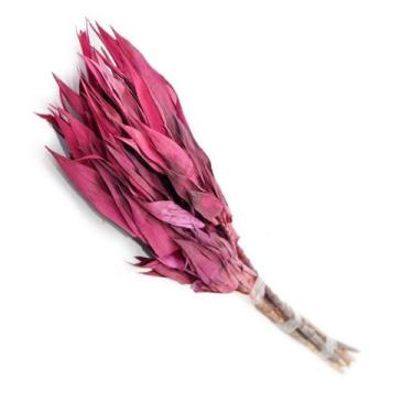 Imagem de Folha Navalha Capim Navalha Buque Flores Secas - Pense Flores, Pink