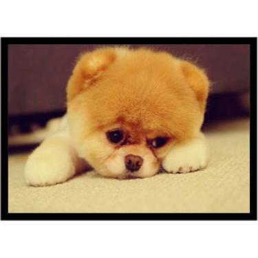 Imagem de Quadro Decorativo Animais Cachorro Veterinário Lulu Pomerânia Pet Shop