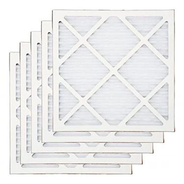 Imagem de B-Air BlueDri Air Scrubber Estágio 1 pré-filtro protetor para purificadores de ar negativo, equipamento de restauração de danos à água, detritos de construção (pacote com 5), branco AS-PF