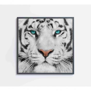 Imagem de Quadro Tigre Branco Medidas 40x40 Cm Impressão Vidro Acrílico