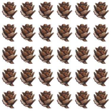 Imagem de DECHOUS 100 peças de pinhas realistas para decoração de Natal, dia de Ação de Graças, acessórios de artesanato versáteis para escritório em casa, brinquedos para meninos e meninas