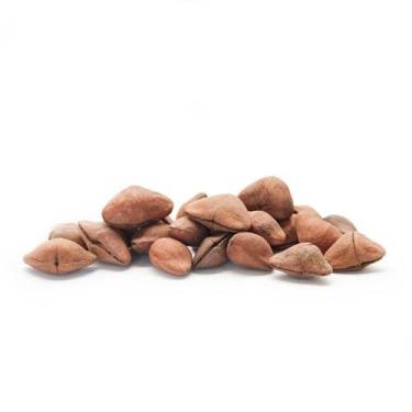 Imagem de Sementes Cascas Diversas para Decoração Flores Seca Variadas - Pense F