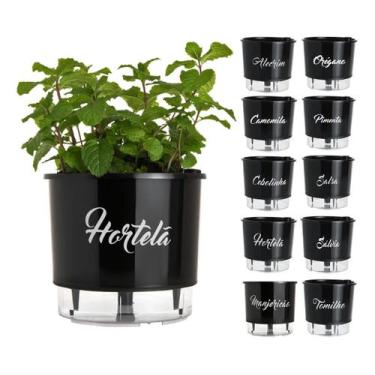 Imagem de Vaso Raiz Auto Irrigável Preto 16cm N3 Autoirrigável Tempero, Hortelã