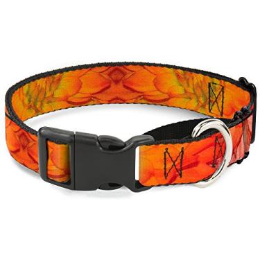 Imagem de Buckle-Down Coleira para cachorro com colagem floral vívida laranja martingale, 3,8 cm de largura - serve para pescoço de 40,6 a 58,4 cm - médio